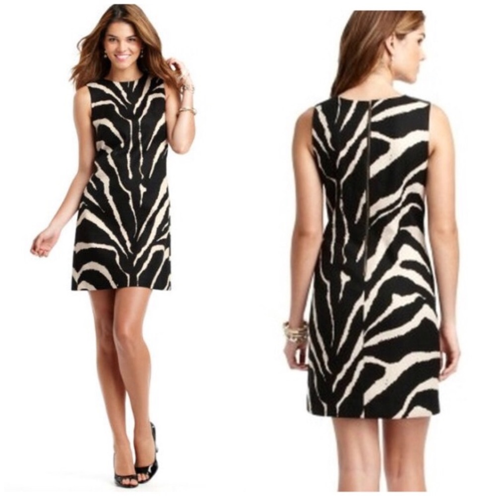 LOFT Zebra Textured Cotton Shift Dress NWT